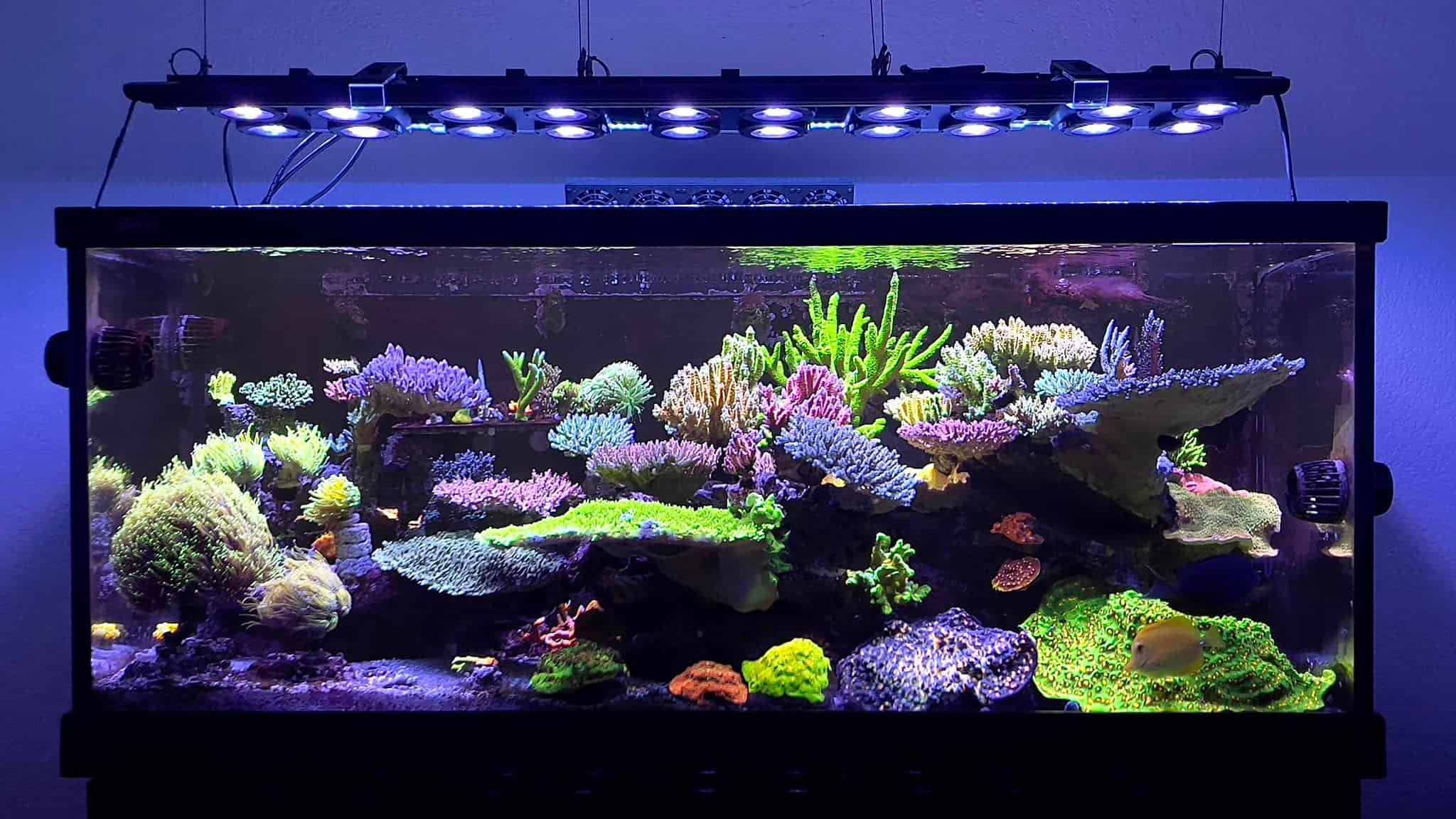 Smart Aquarium Management System - Image 1